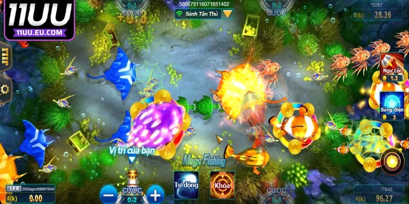 Tập trung ngắm bắn vào những con cá ở gần 